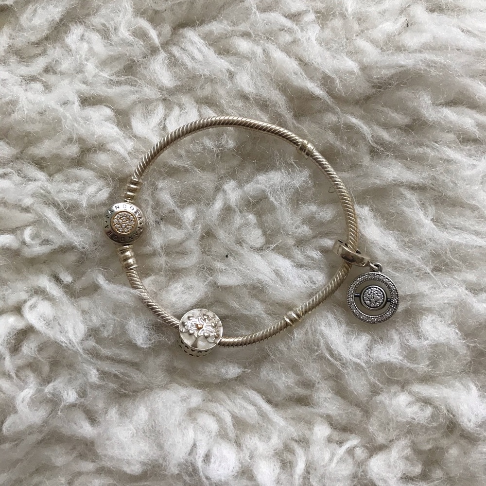 Silver Pandora Charm Bracelet